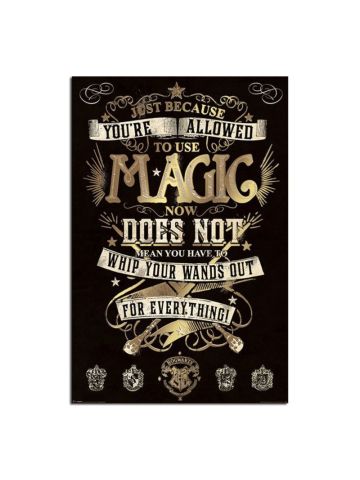 Harry Potter Magic Large Wall Poster New - Maxi Size 36 x 24 Inch
